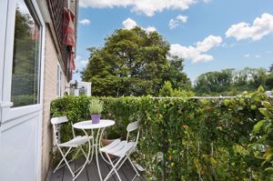 Photo 18- click for photo gallery